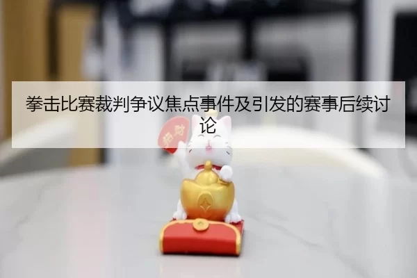 拳击比赛裁判争议焦点事件及引发的赛事后续讨论